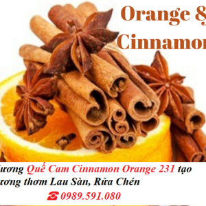Hương Quế Cam Cinnamon Orange 231 tạo hương thơm Lau Sàn, Rửa Chén