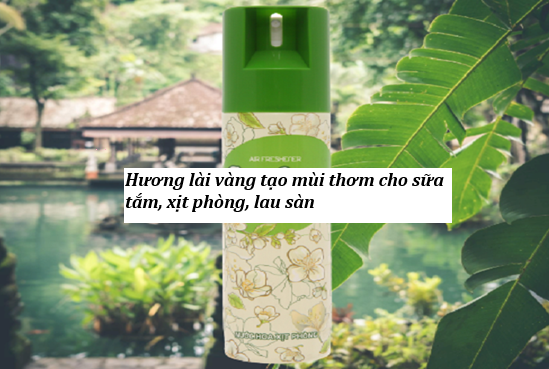 Hương lài vàng cho xịt phòng, sữa tắm, lau sàn